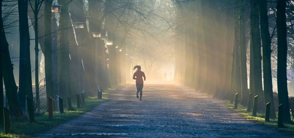 Dame die hardloopt in het bos